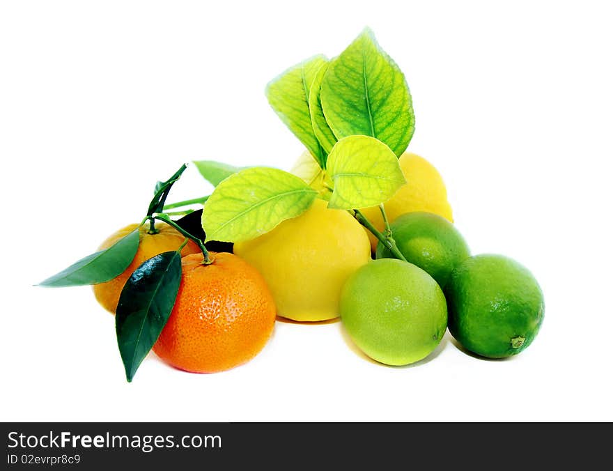 Fruit on a white background