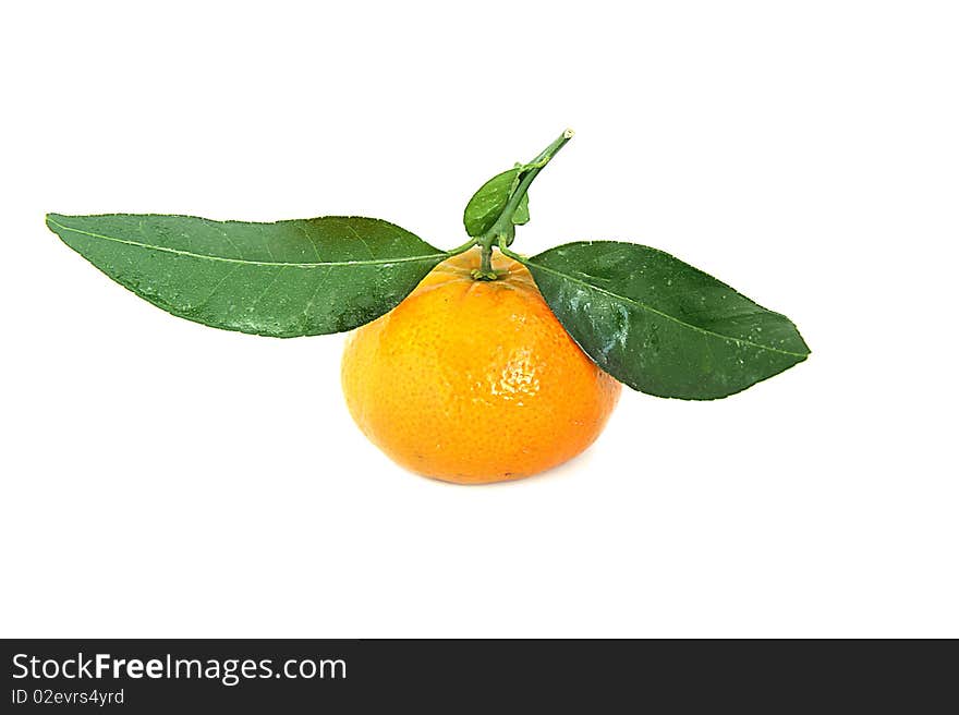 Tangerine with leaves on a white background