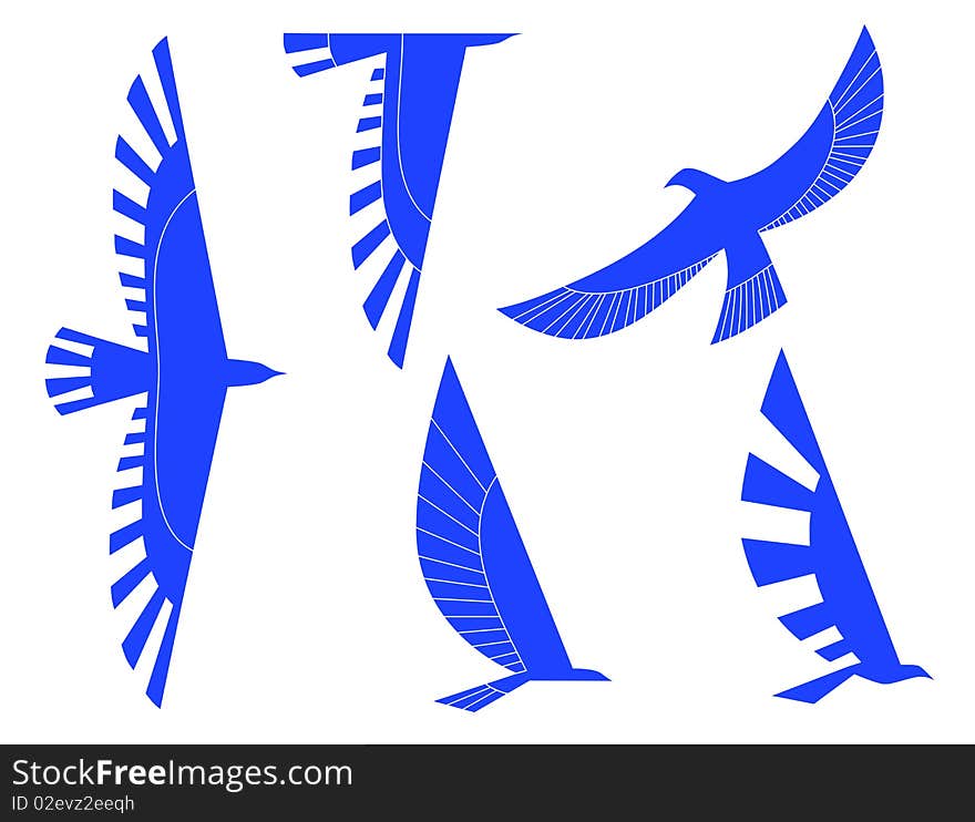 Blue falcons isolated in white. Blue falcons isolated in white