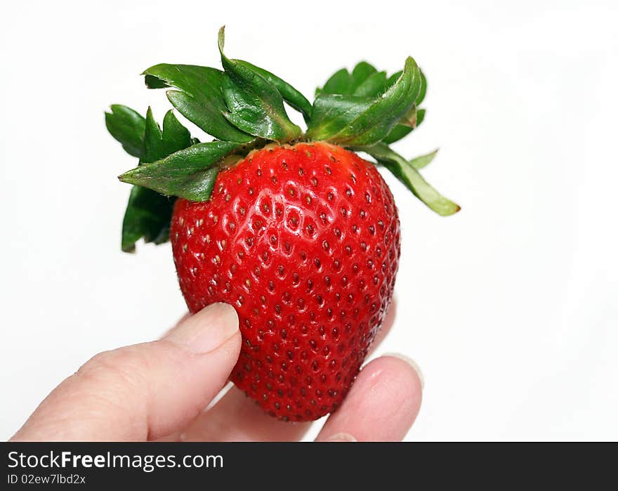 A person is holding a fresh, large, red, ripe strawberry. A person is holding a fresh, large, red, ripe strawberry.