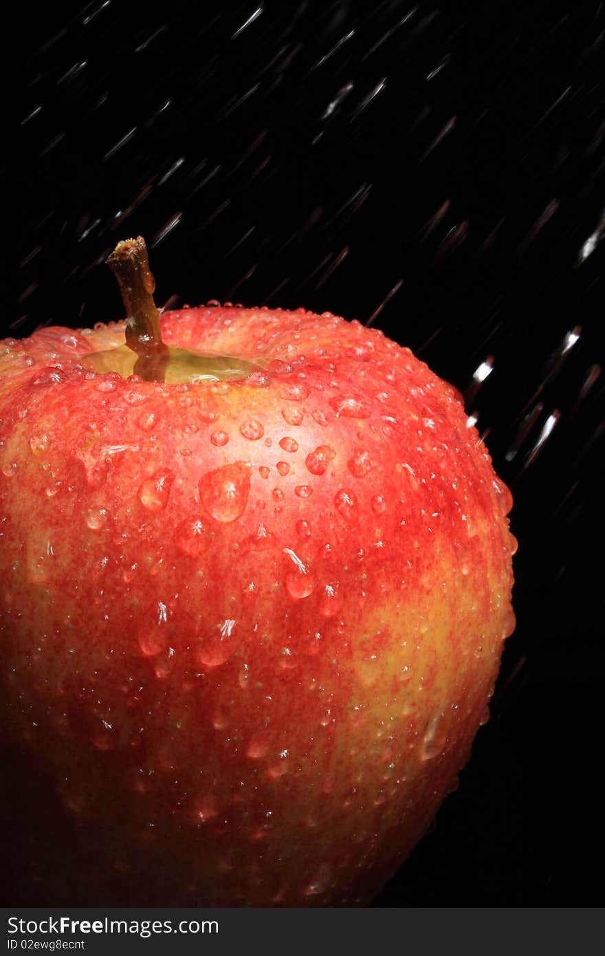 Artistic photo of a freshly washed gala apple. Artistic photo of a freshly washed gala apple.