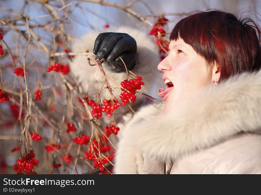 Girl eats berries with bush. Girl eats berries with bush