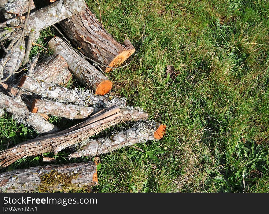 Fire wood on grass