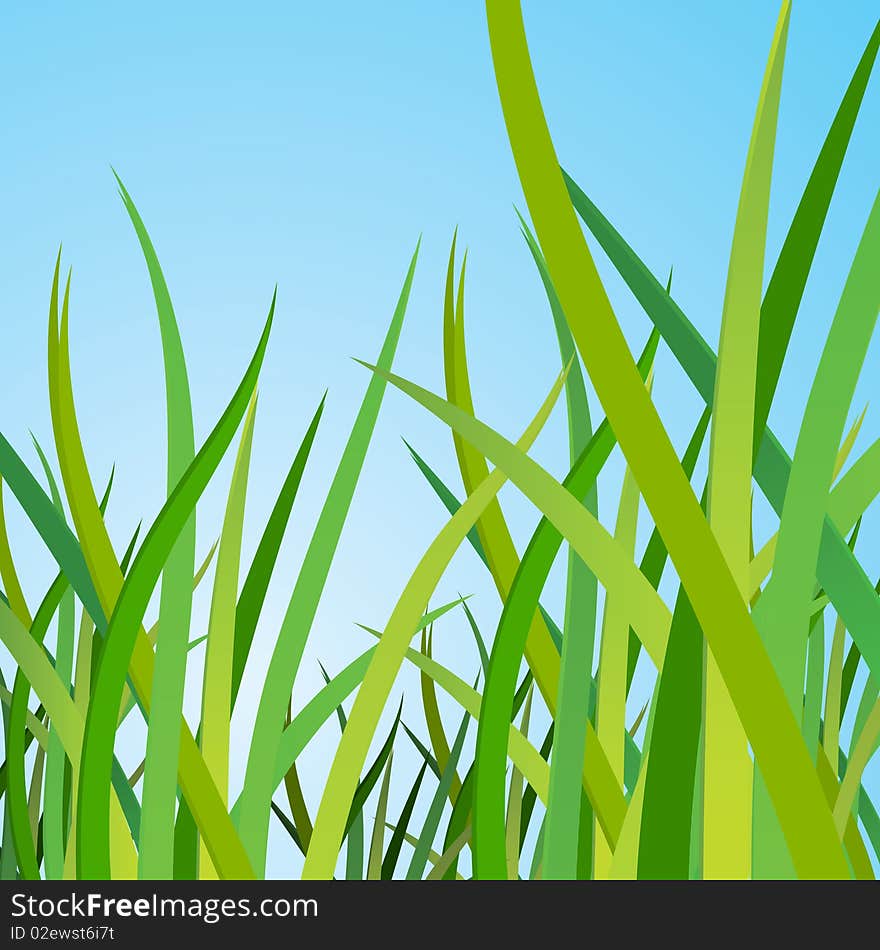 Green grass against the blue sky