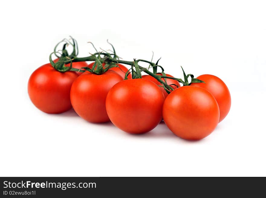 Tomatos