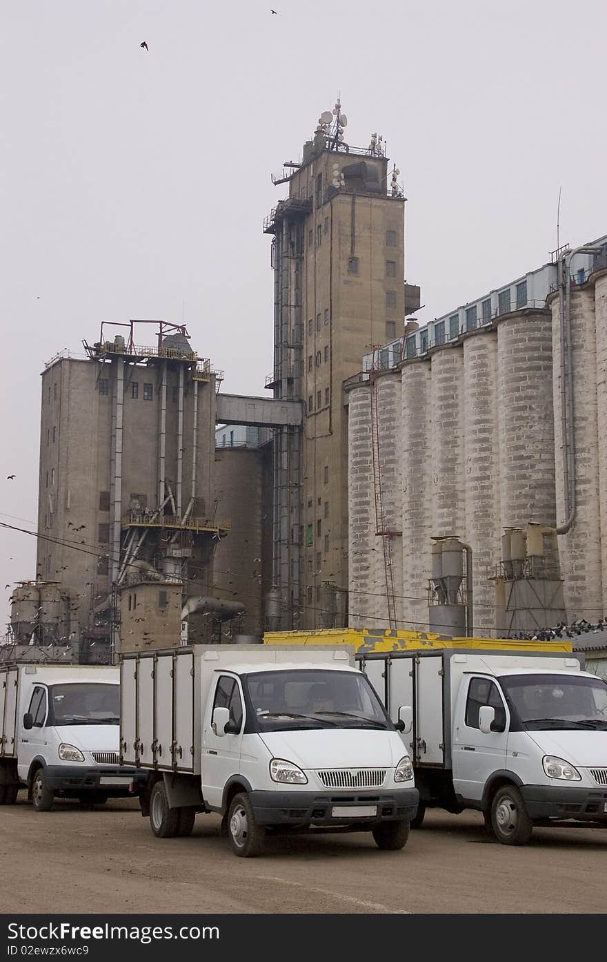 Factory on flour manufacture, a premise with units.