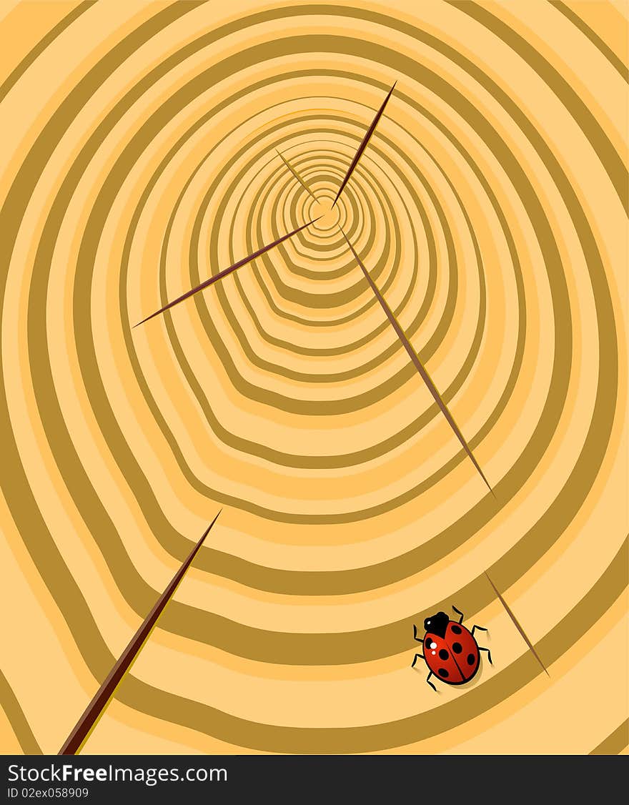 Vector wooden cut texture with ladybird. EPS 8