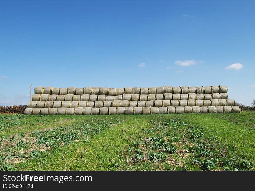 He is a bale after harvest on the field. He is a bale after harvest on the field.