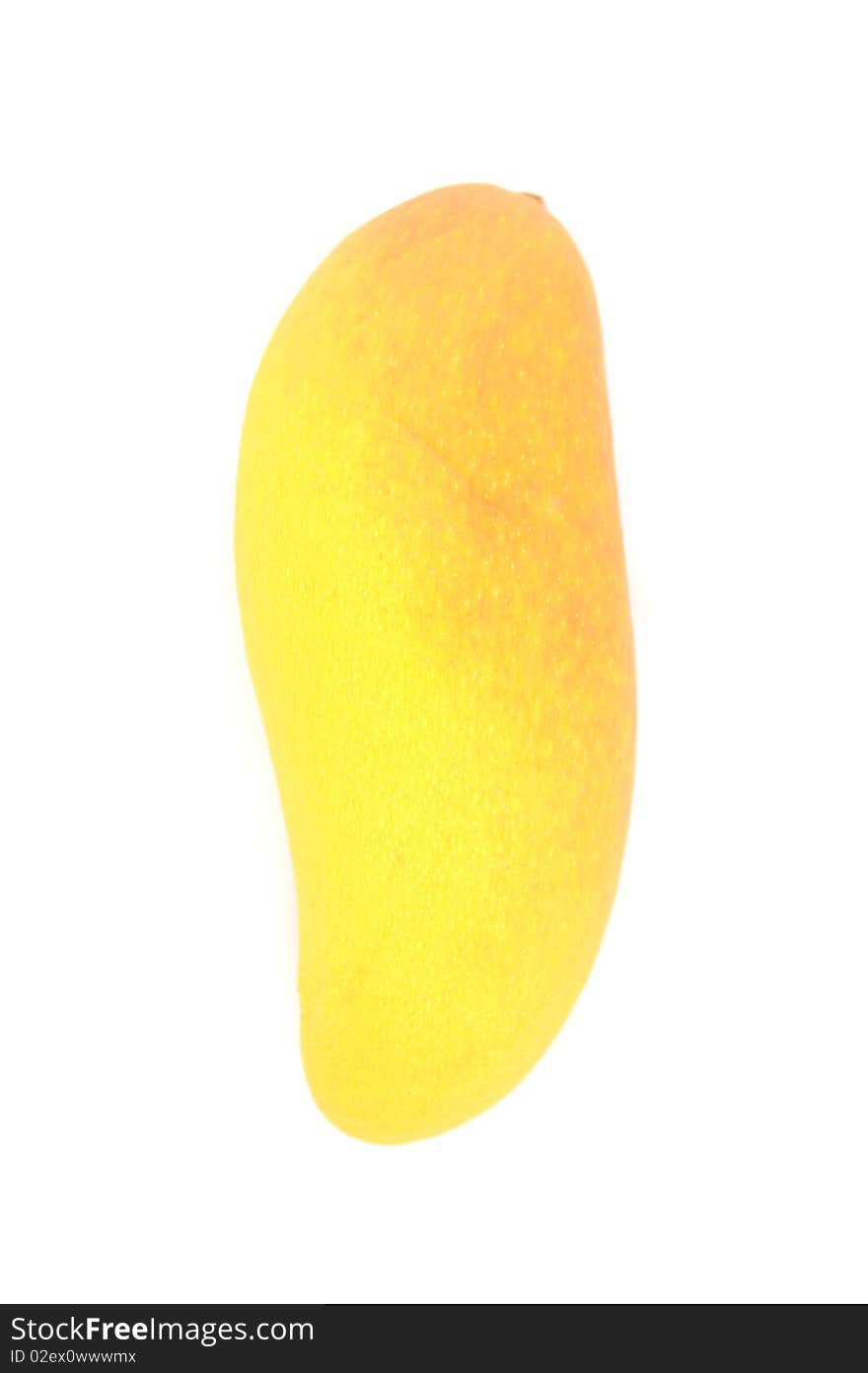 Ripe Mango