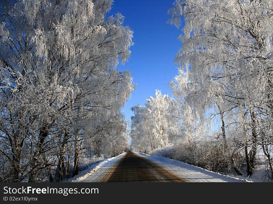 Road Into Winter