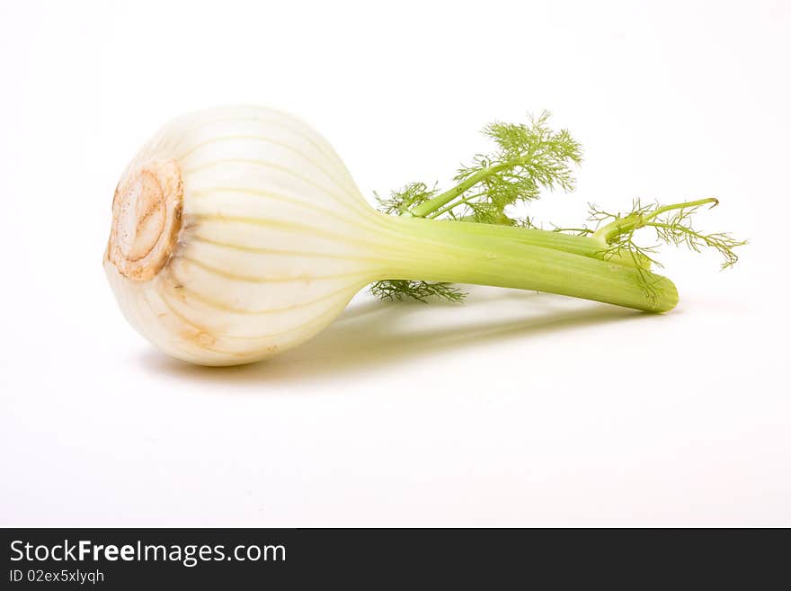 Fennel