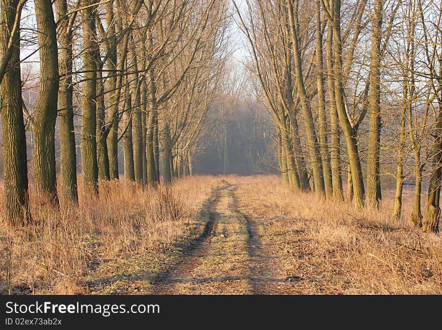 Country road