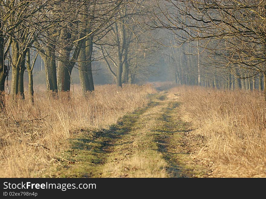 Country road