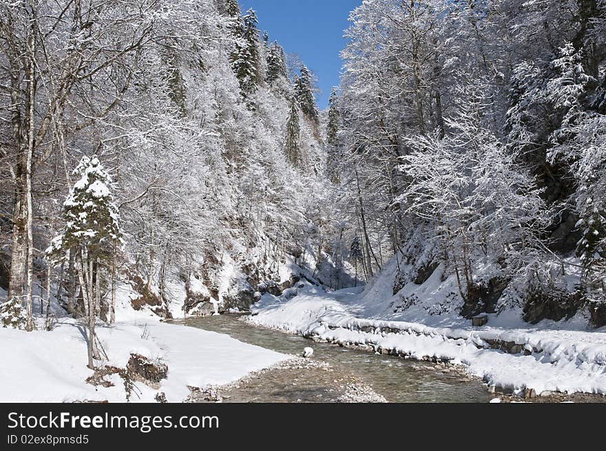 Bavarian winter landscape