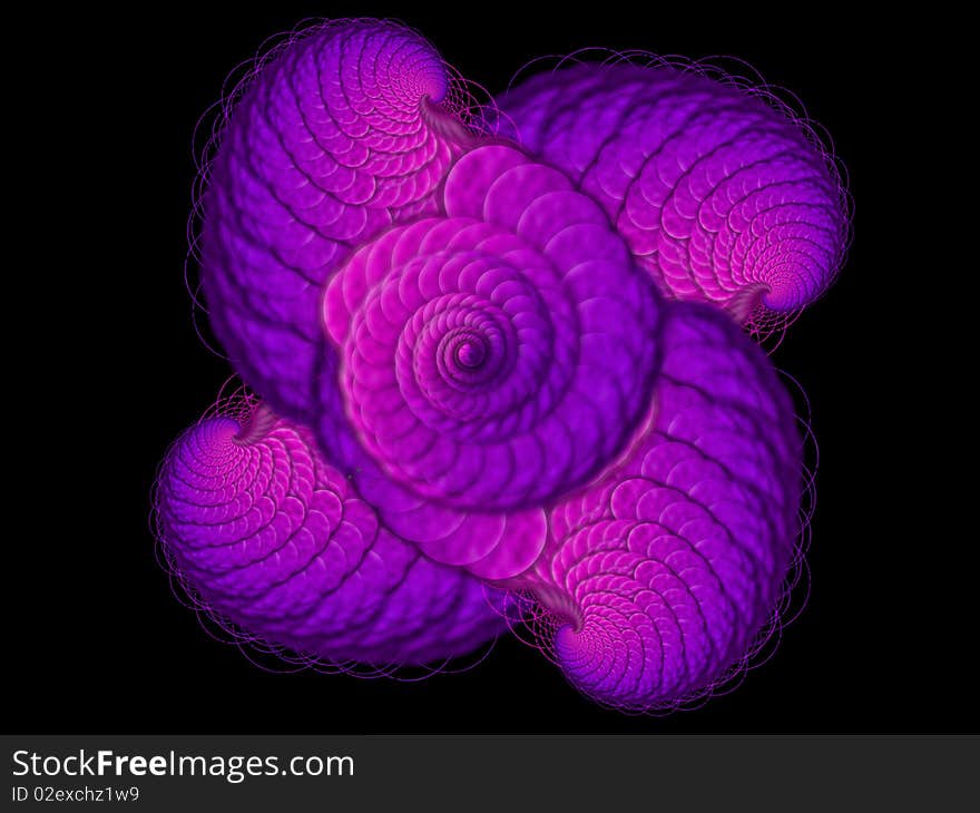 Abstract isolated image: a spyral with the shape of a nautilus shell. Abstract isolated image: a spyral with the shape of a nautilus shell