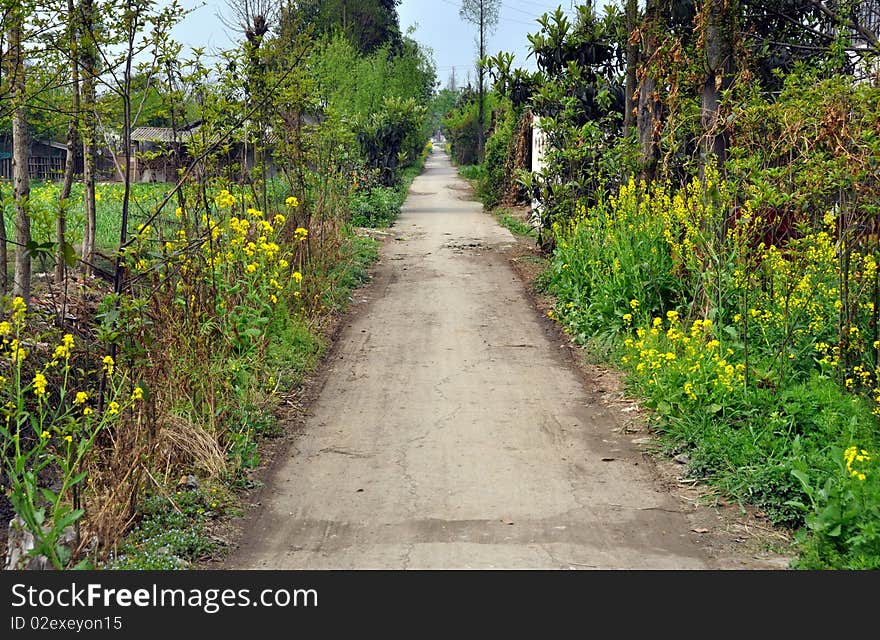 Pengzhou, China:  Country Lane