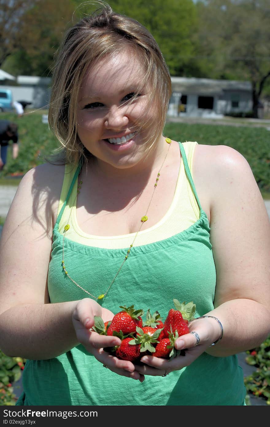 Strawberry Picking