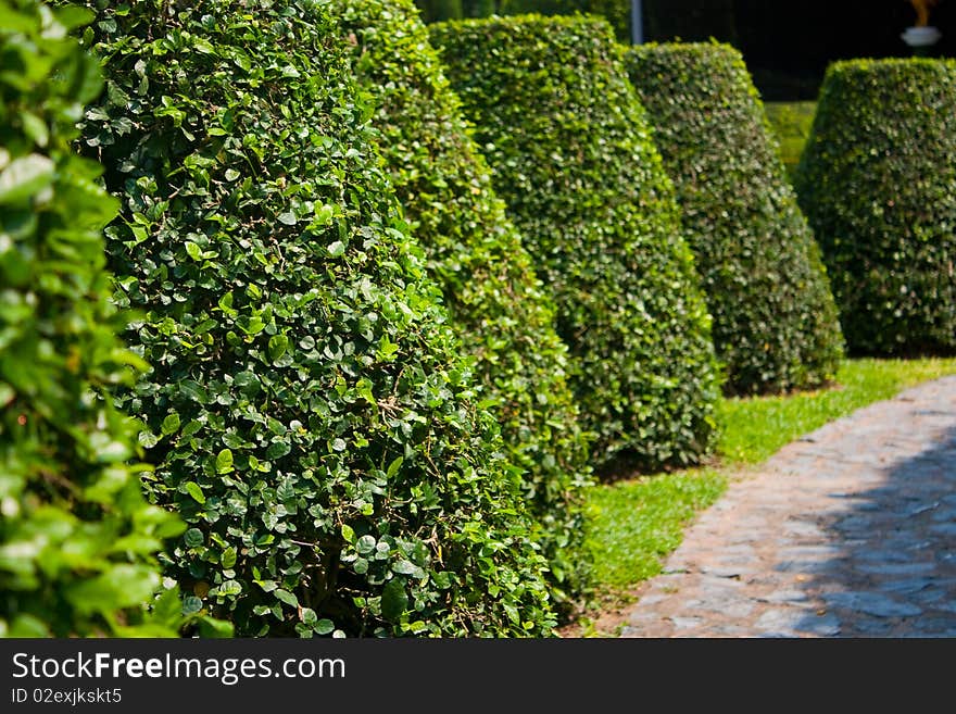 Decorate garden trees.