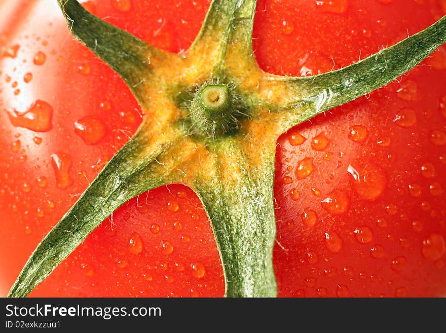 Tomato closeup