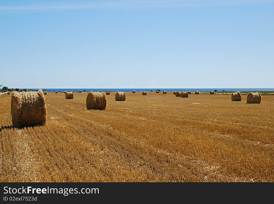 A harvested crop filed with big rolls of hay