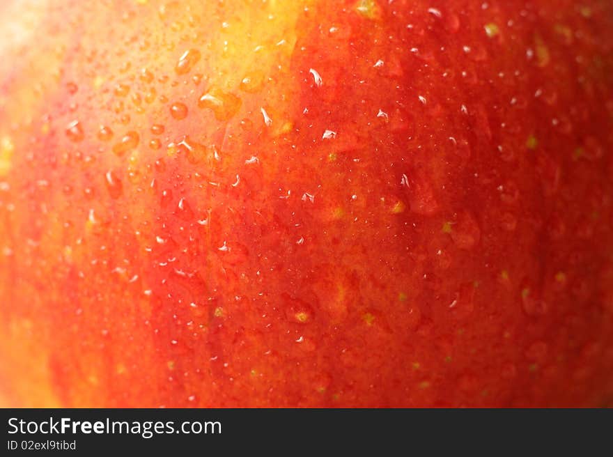 Apple closeup