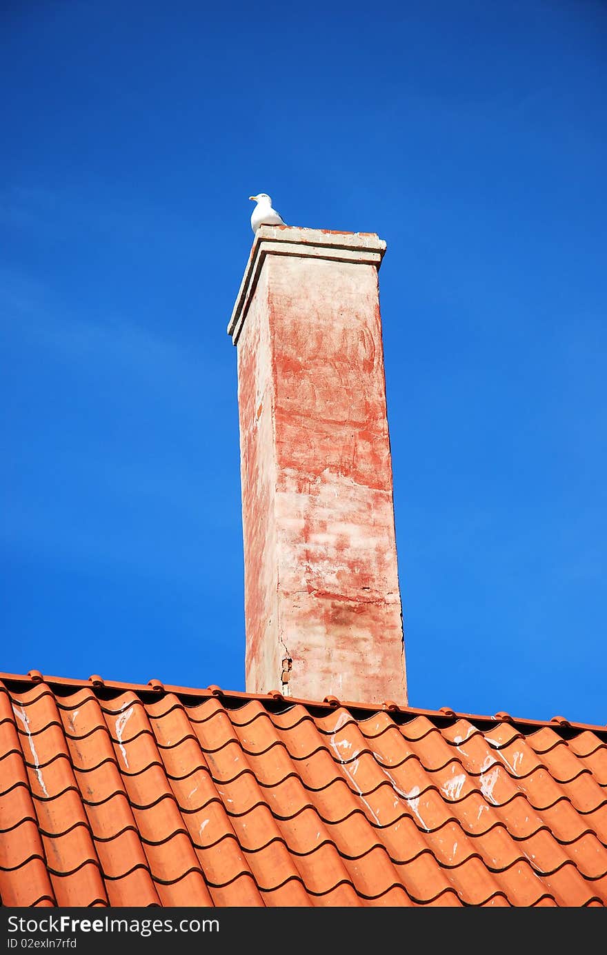 An old chimney on a house, white bird-a tern.