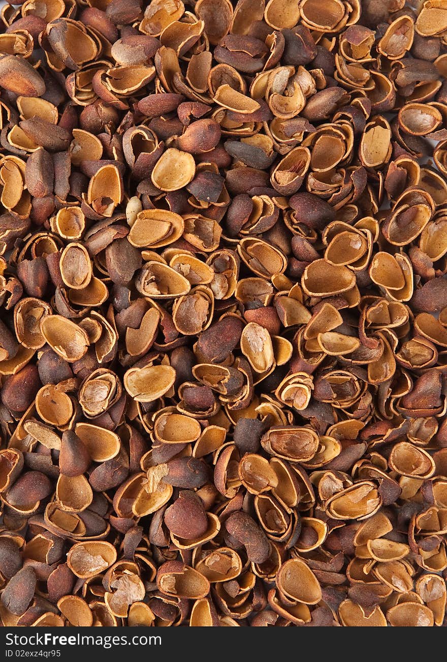 Background of shell of pine nuts