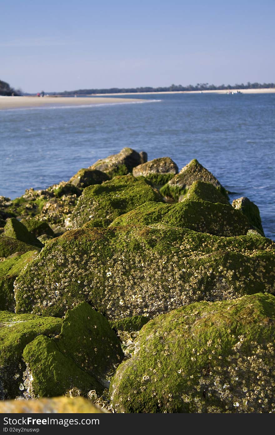 Algea covered jetties