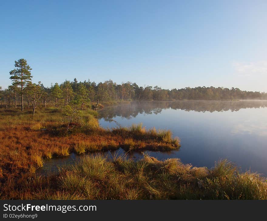 Marsh landscape, Kakerdaja Bog, clear day