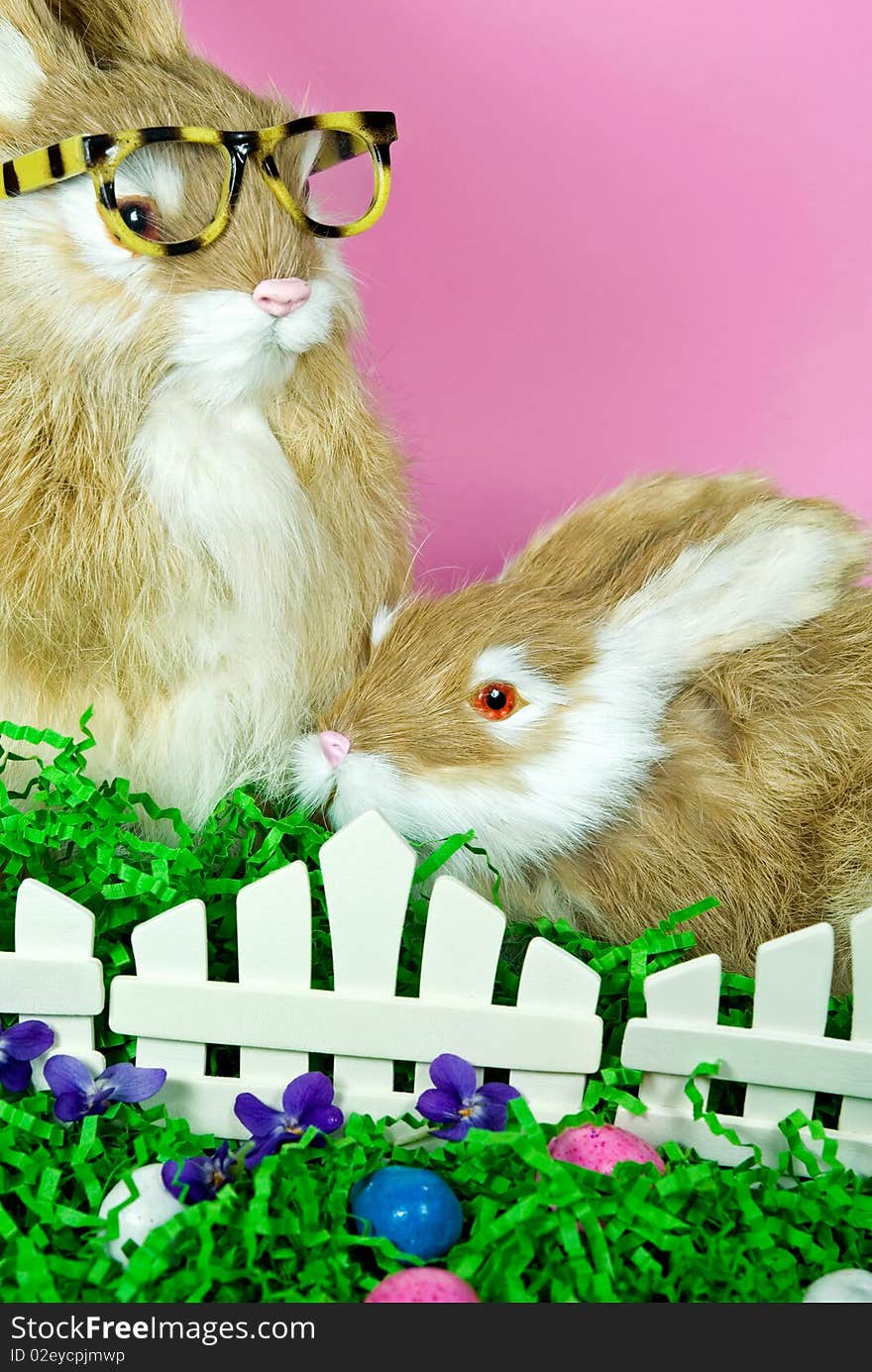 Cute bunnies with Easter eggs. Cute bunnies with Easter eggs.