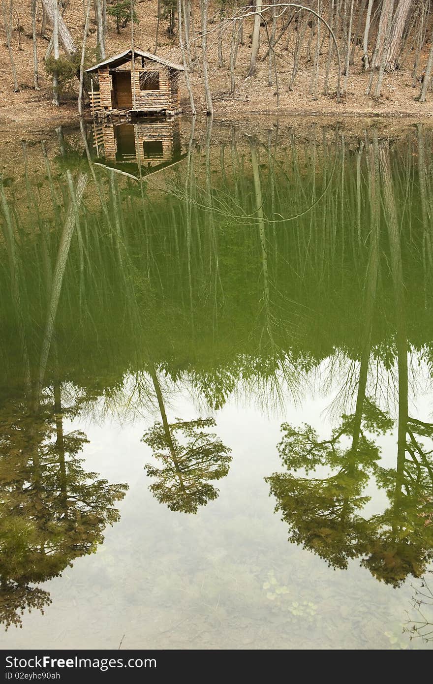 Log cabin on the shore of the lake in the forest