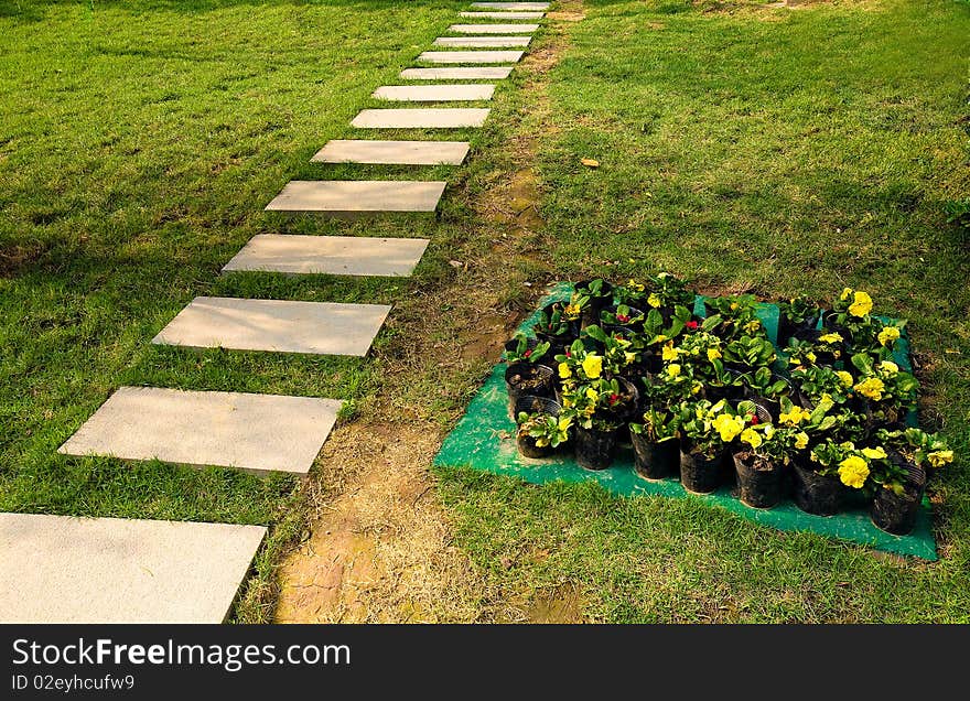 This is a road in the grass