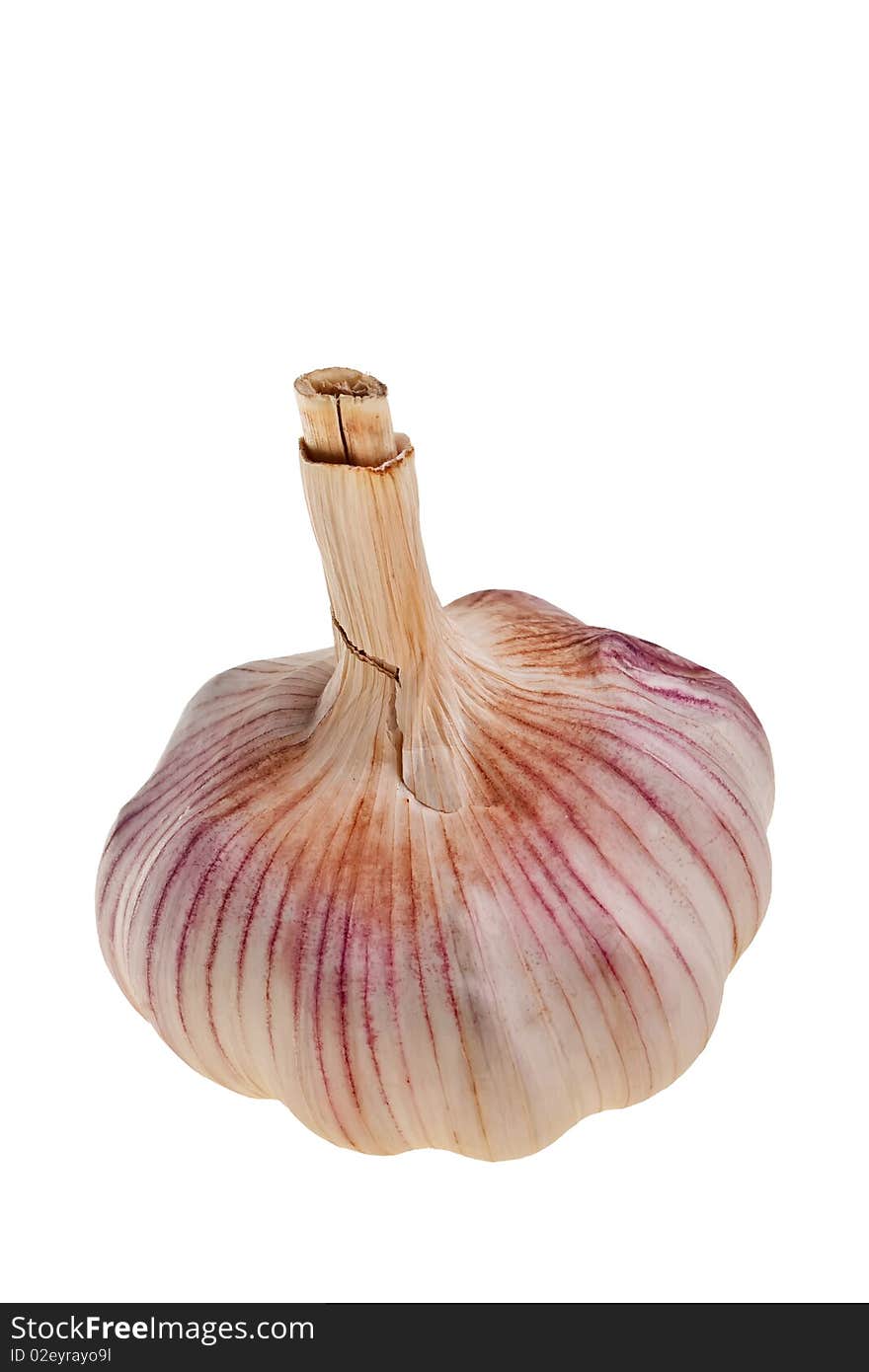 Garlic Bulb