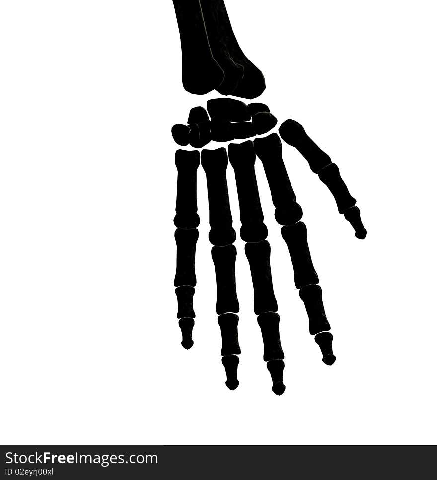 Skeleton hand bones silhouette