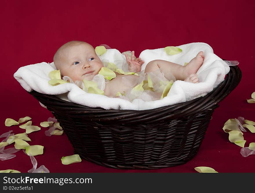 Close up of baby in a basket. Close up of baby in a basket