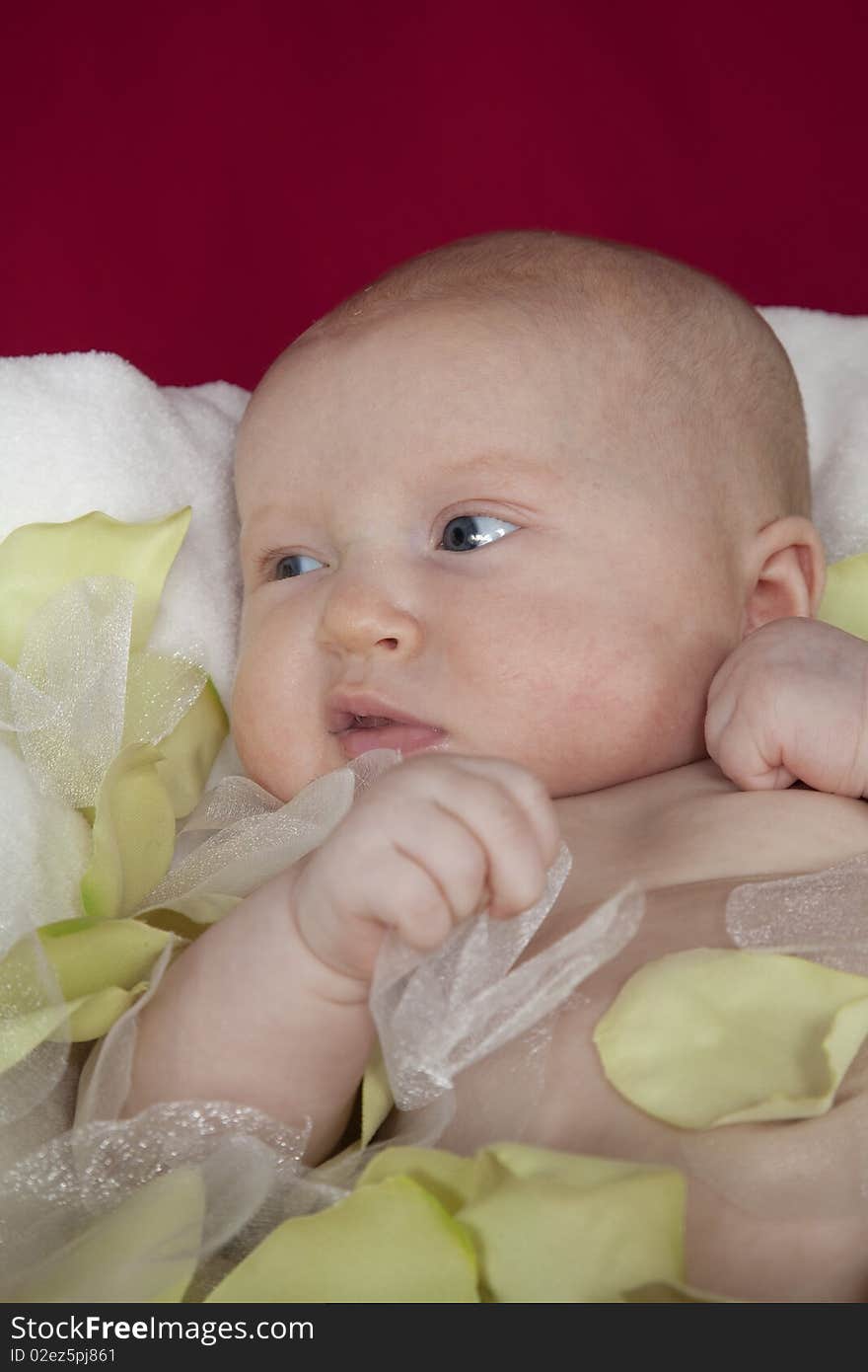 Close up of baby in a basket. Close up of baby in a basket