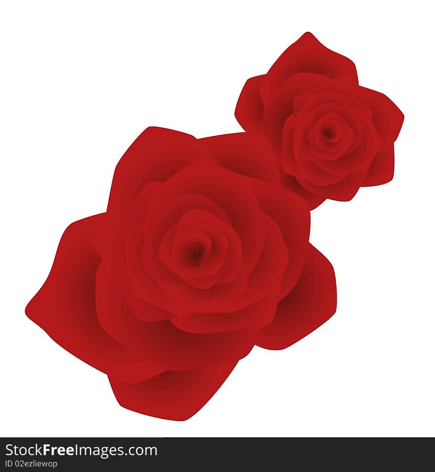 Red rose flower