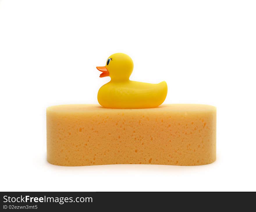 A toy duck on a sponge isolated against a white background. A toy duck on a sponge isolated against a white background