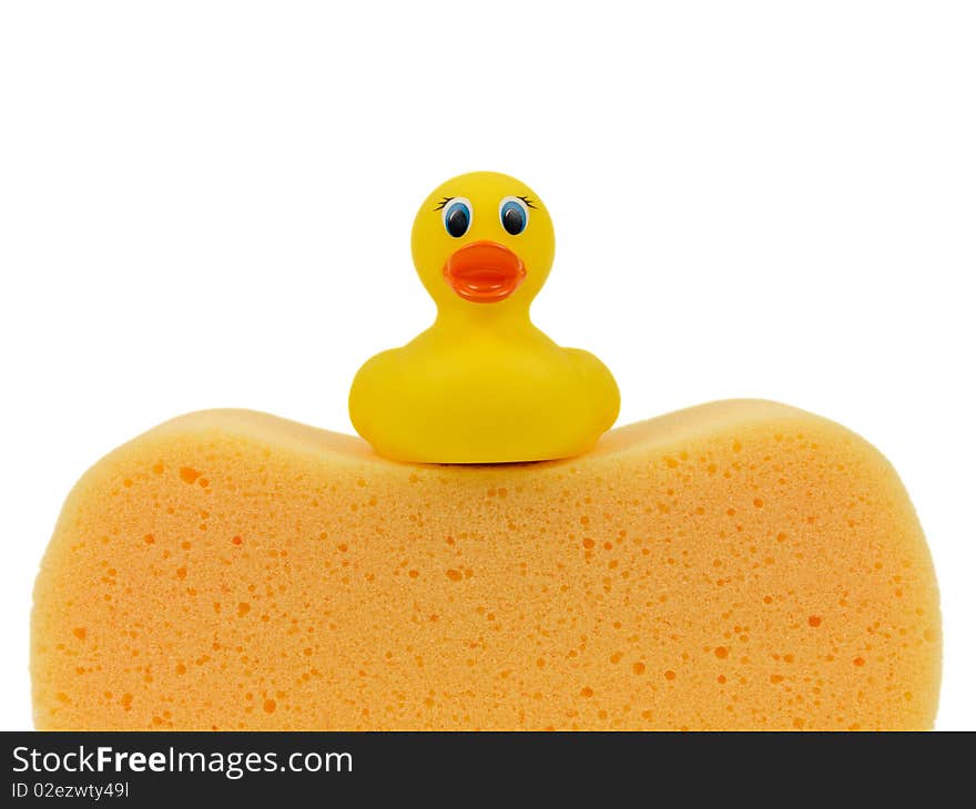 A toy duck on a sponge isolated against a white background. A toy duck on a sponge isolated against a white background