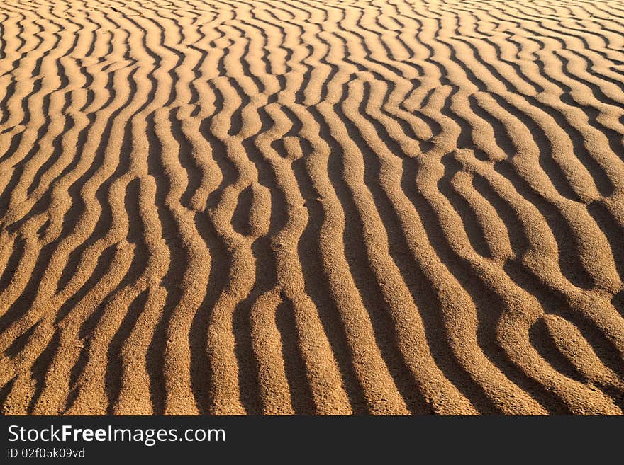 Sandy Waves