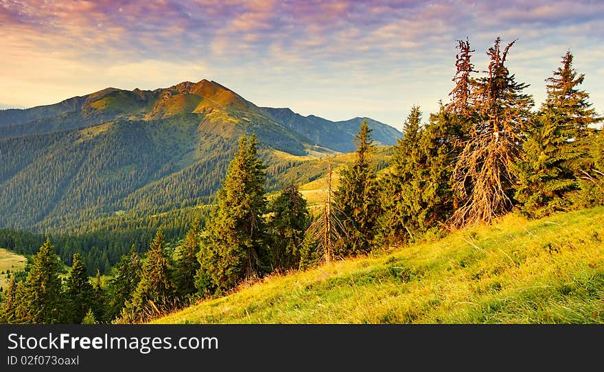 The first beams of a rising sun shine mountains Carpathians, Ukraine. The first beams of a rising sun shine mountains Carpathians, Ukraine