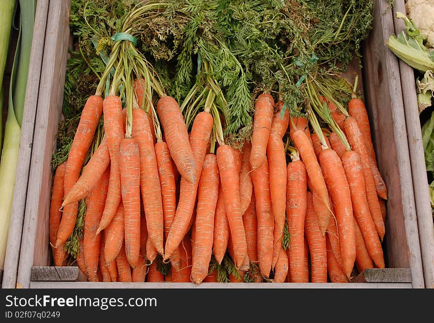 Carrots green and orange