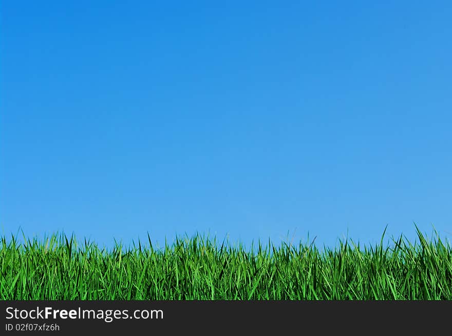 Green grass and blue sky, background. Green grass and blue sky, background