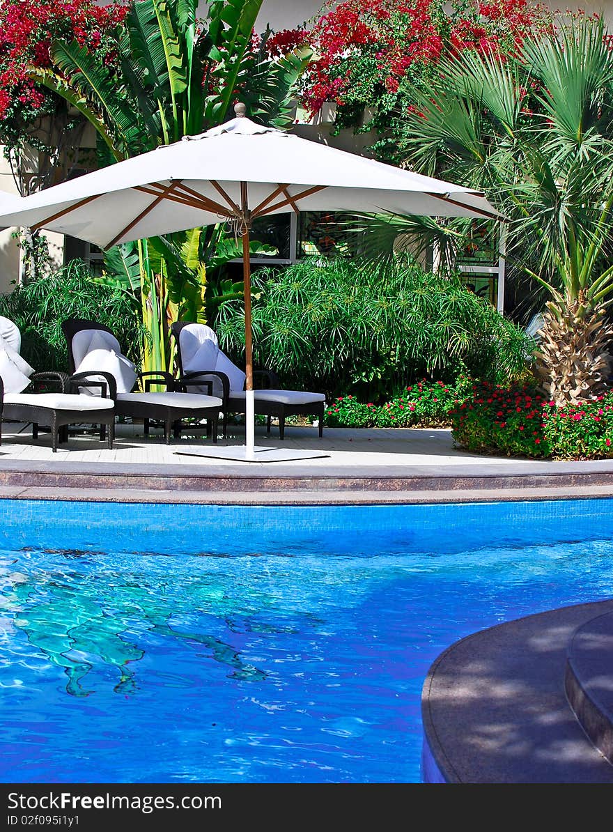 A shady place to lounge and relax poolside at an exclusive spa resort in the Middle East. A shady place to lounge and relax poolside at an exclusive spa resort in the Middle East.