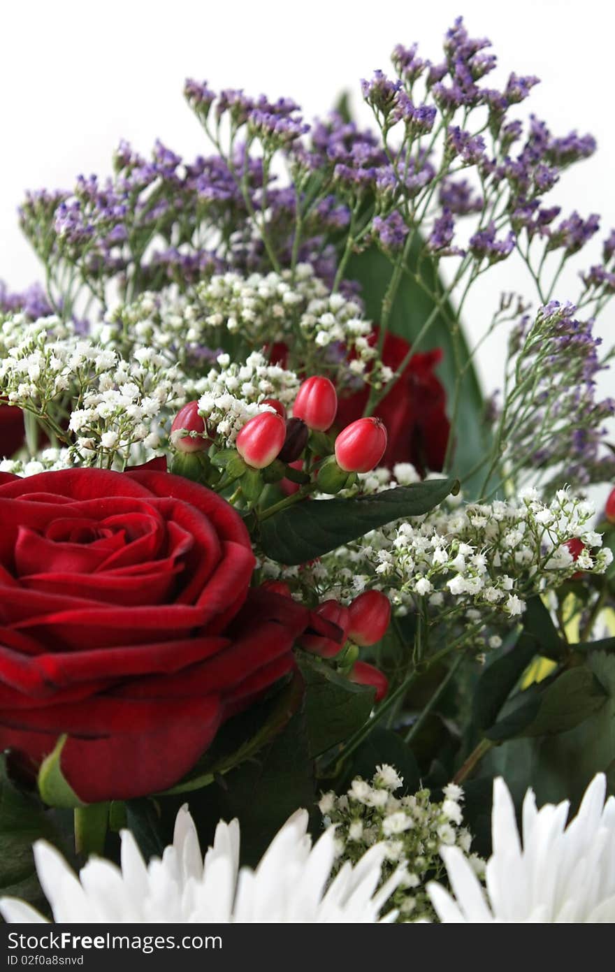 Fragment floral bouquet on white background