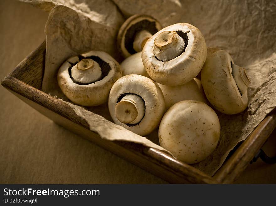 Mushroom in wood container