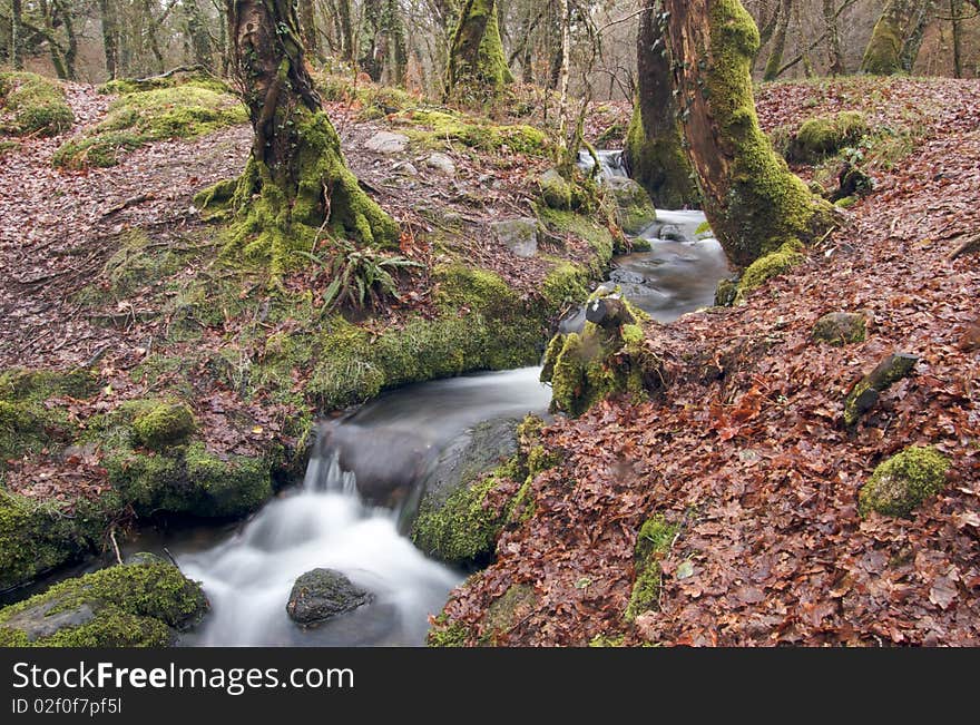 Long Exposure of a stream running through the woods with waterfalls. Long Exposure of a stream running through the woods with waterfalls