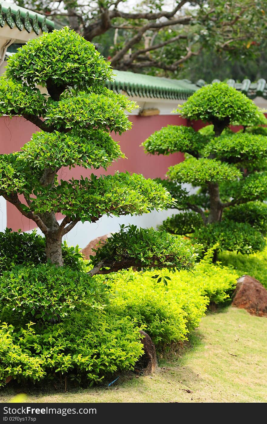 A beautiful landscaped japanese garden