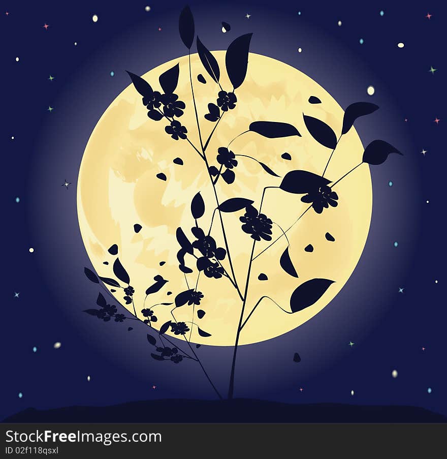 Young tree with leaves and colours against the full moon. Young tree with leaves and colours against the full moon