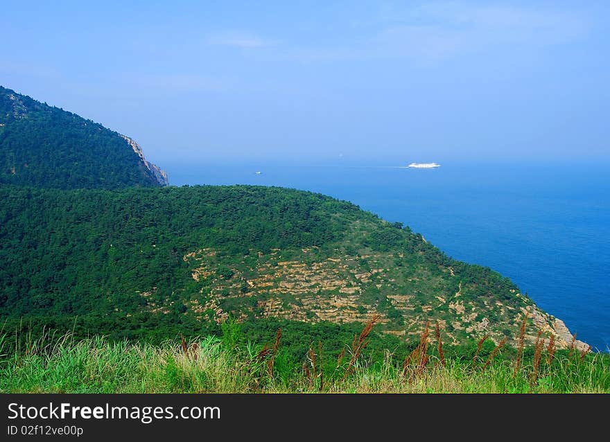 Forest in Dalian, China. Panoramic view. Sea on background.